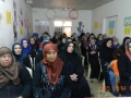 تركلان1