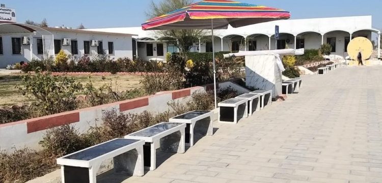 Peace Benches