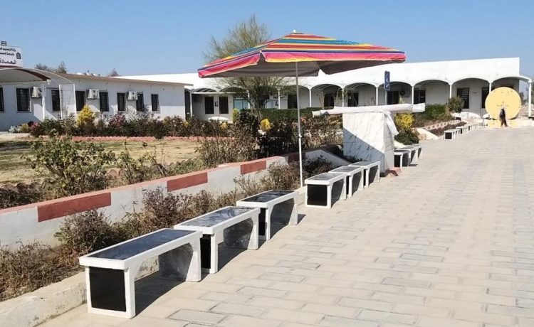 Peace Benches